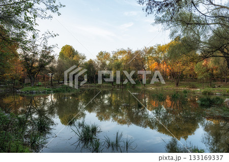 Autumn Foliage in Seoul Childrens Grand Park Autumn Foliage in Seoul Childrens Grand Park 133169337