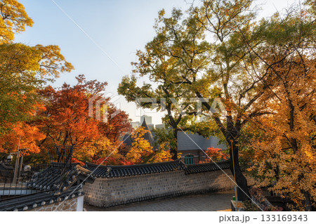 Deoksugung Doldam Gil Autumn Foliage Deoksugung Doldam Gil Autumn Foliage 133169343