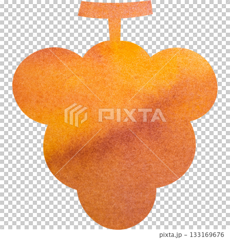 精美的水彩葡萄圖示圖像插圖 精美的水彩葡萄圖示圖像插圖 133169676