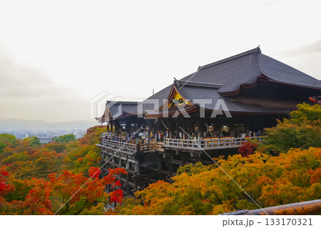 京都 鮮やかな紅葉に包まれた清水寺 133170321