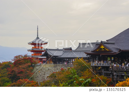 京都 鮮やかな紅葉に包まれた清水寺 京都 鮮やかな紅葉に包まれた清水寺 133170325
