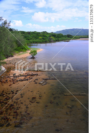 石垣島・名蔵アンパル 石垣島・名蔵アンパル 133170679