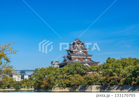 広島市　青空に映える広島城天守閣 133170705
