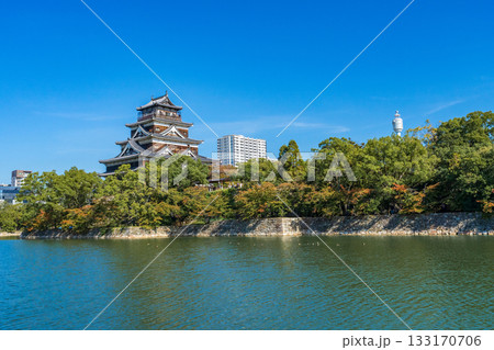 広島市　青空に映える広島城天守閣 133170706