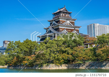 広島市　青空に映える広島城天守閣 133170710