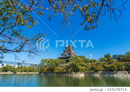 広島市 青空に映える広島城天守閣 広島市 青空に映える広島城天守閣 133170714