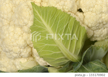 Cauliflower Leaf and Floret Cauliflower Leaf and Floret 133170902