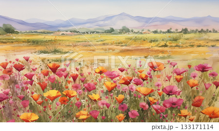 Watercolor summer landscape with poppy flowers 133171114