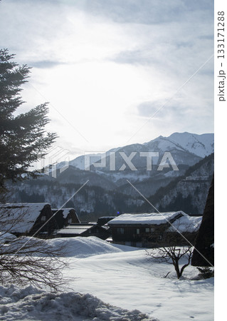 雪化粧の山々を望む合掌造りの集落（縦構図） 133171288