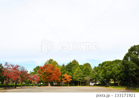 上尾丸山公園_14 上尾丸山公園_14 133171921