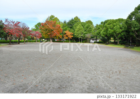 上尾丸山公園_15 133171922