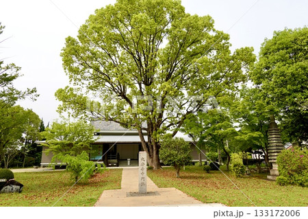 南都大安寺　大安寺中門跡の石碑越しに宝物殿が見える風景　奈良県奈良市大安寺 133172006