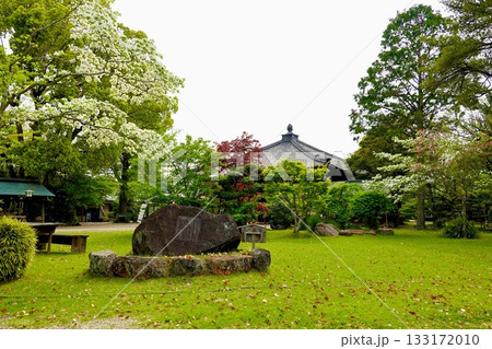 南都大安寺 本堂の屋根が見える風景 奈良県奈良市大安寺 南都大安寺 本堂の屋根が見える風景 奈良県奈良市大安寺 133172010