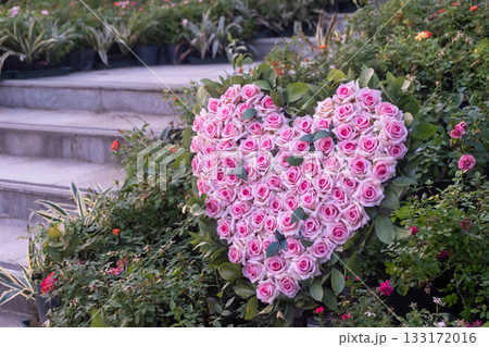 Pink Rose in a heart shape, in the Garden 133172016