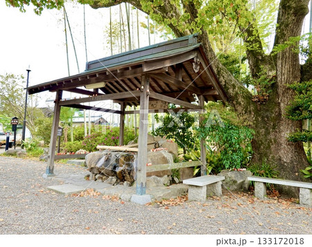 南都大安寺　手水舎が見える風景　奈良県奈良市大安寺 133172018
