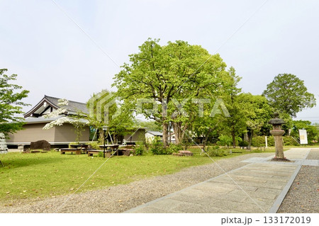 南都大安寺 宝物殿(讃仰殿)が見える風景 奈良県奈良市大安寺 南都大安寺 宝物殿(讃仰殿)が見える風景 奈良県奈良市大安寺 133172019