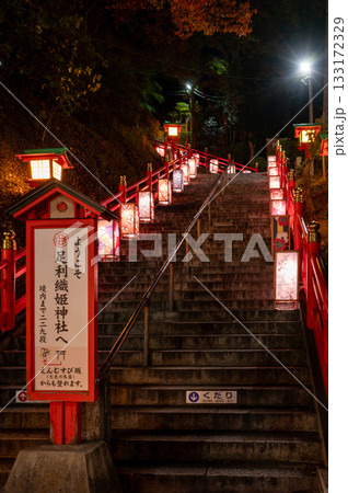 足利灯り物語　織姫神社　本坂 133172329