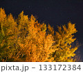 ライトアップされたイチョウ 133172384
