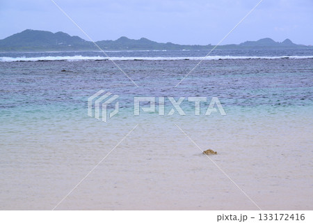 石垣島・米原ビーチ 133172416