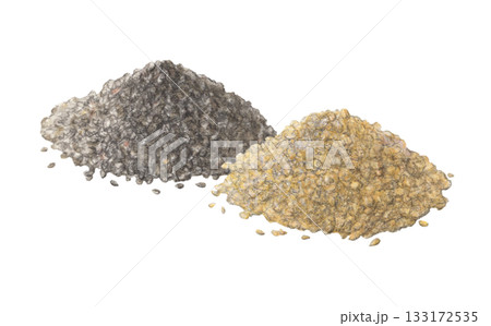 白ゴマと黒ゴマ　水彩色鉛筆イラスト 133172535