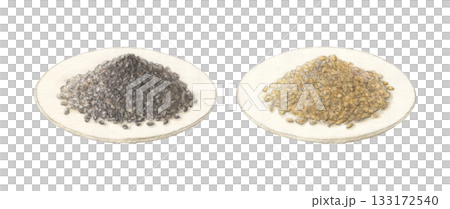 皿に盛った白ゴマと黒ゴマ　水彩色鉛筆イラスト 133172540
