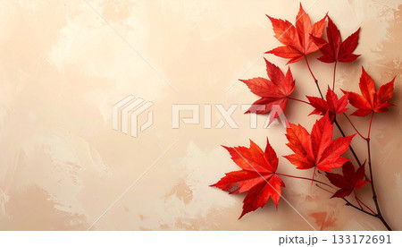 赤もみじが彩る静かな秋の余白 133172691