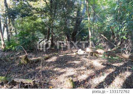 愛宕山の山頂（京都府舞鶴市） 133172762