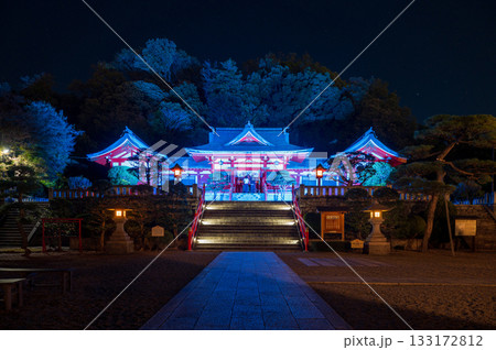 足利織姫神社のライトアップと祈願するカップルの後ろ姿（足利灯り物語） 133172812