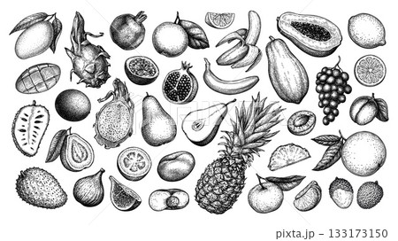 Fruits big collection. Ink sketches. Fruits big collection. Ink sketches. 133173150
