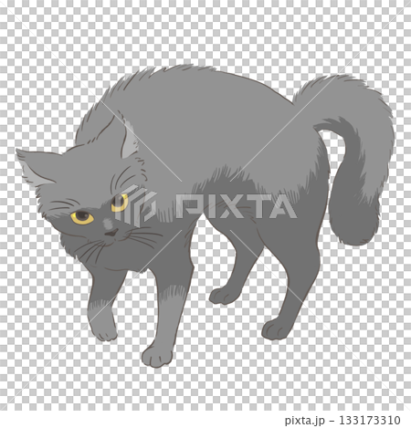 Illustration of a black cat doing Yannoka steps 133173310