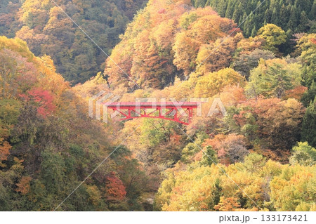 信州松川渓谷 高井橋 信州松川渓谷 高井橋 133173421
