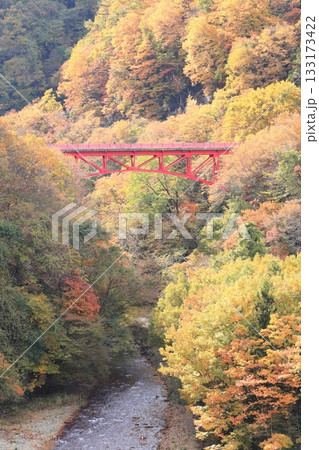 信州松川渓谷　高井橋 133173422