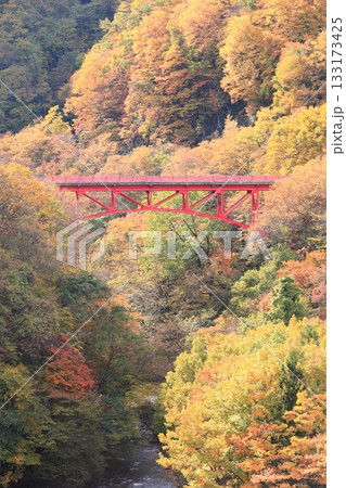 信州松川渓谷 高井橋 信州松川渓谷 高井橋 133173425