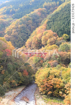 信州松川渓谷 高井橋 信州松川渓谷 高井橋 133173426