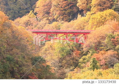 信州松川渓谷 高井橋 信州松川渓谷 高井橋 133173430
