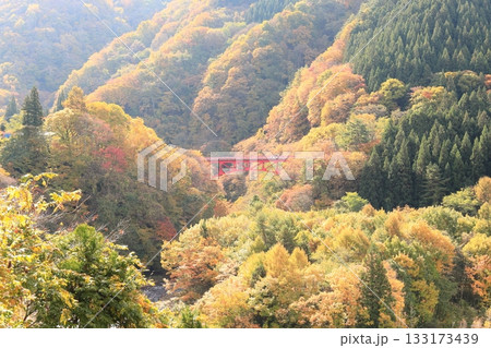 信州松川渓谷 高井橋 信州松川渓谷 高井橋 133173439