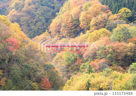 信州松川渓谷 高井橋 信州松川渓谷 高井橋 133173489