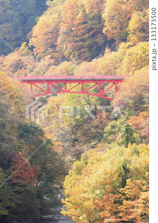 信州松川渓谷 高井橋 信州松川渓谷 高井橋 133173500
