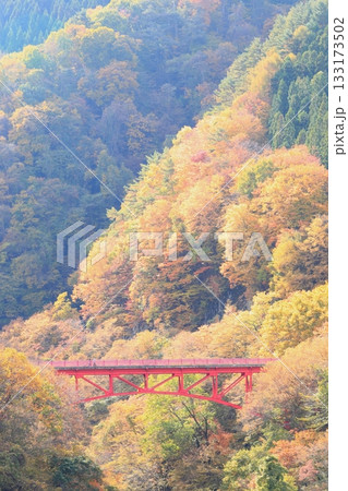 信州松川渓谷　高井橋 133173502