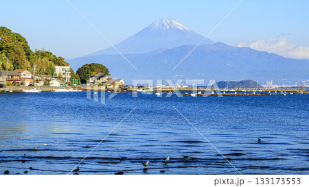 西伊豆からみた富士山 133173553