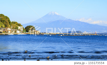 西伊豆からみた富士山 133173554