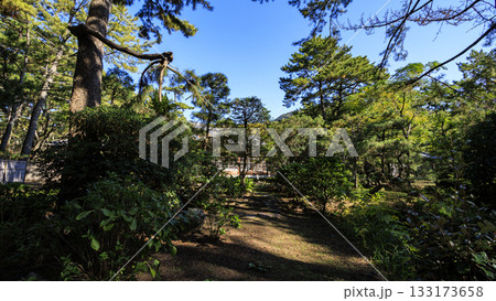 沼津御用邸記念公園の秋 沼津御用邸記念公園の秋 133173658