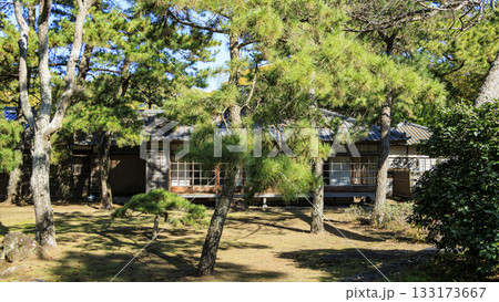 沼津御用邸記念公園の秋 133173667