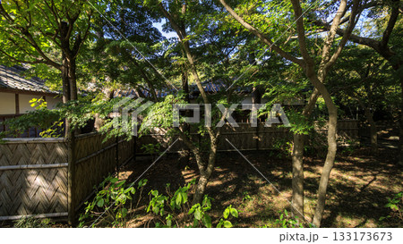 沼津御用邸記念公園の秋 沼津御用邸記念公園の秋 133173673