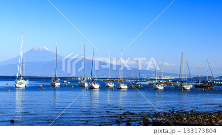 西伊豆からみた富士山 133173804