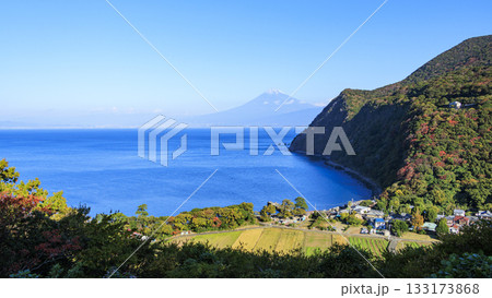 西伊豆からみた富士山（煌めきの丘） 133173868