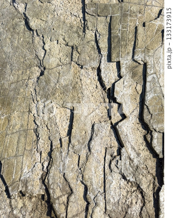 Abstract brown rock stone background 133173915