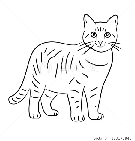 striped cat, sketch of black art brush lines 133173946