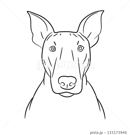 head of dog Bull Terrier, sketch of black art brush lines head of dog Bull Terrier, sketch of black art brush lines 133173948