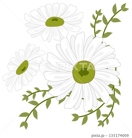 White Daisy and Green Vine Corner Floral Arrangement 133174009